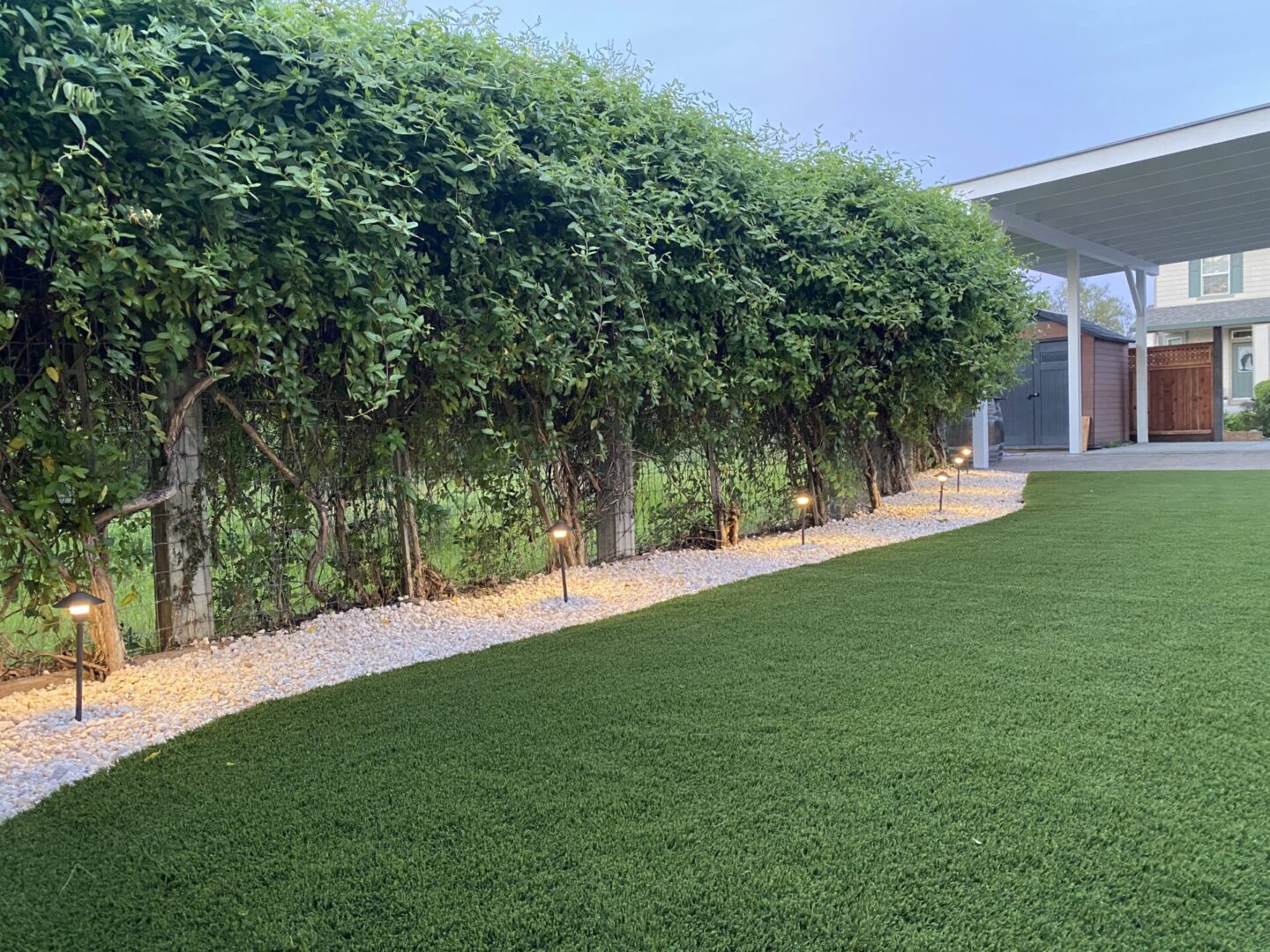 Artificial grass with garden path floor lamps, landscaping by Guys Yard Design in Sonoma, CA