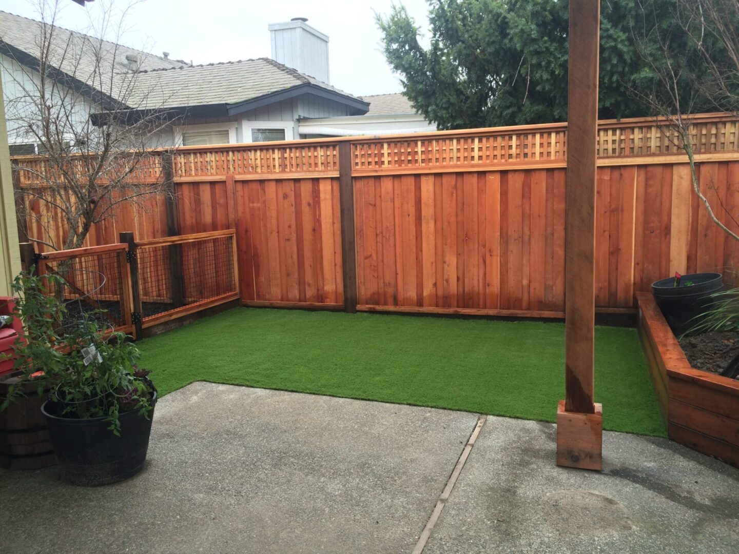Artificial lawn with fence, concrete flooring, landscaping service by Guys Yard Design in Sonoma, CA